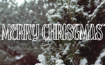 MERRY CHRISTMAS (154560)