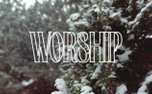 WORSHIP (154565)