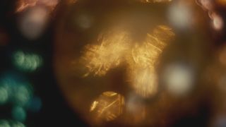 Glory and Wonder : Loop 01