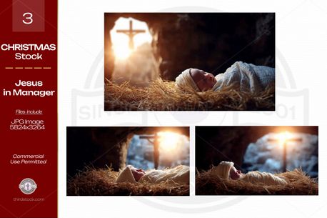 Baby Jesus in Manger (154878)