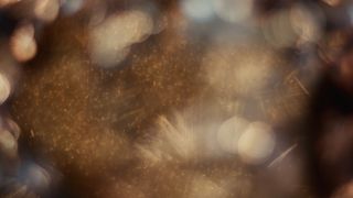 Joyous Celebration : Loop 02