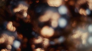 Joyous Celebration : Loop 03