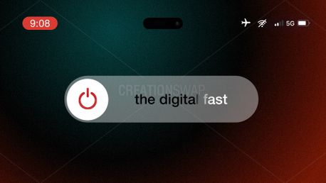 The Digital Fast (155121)