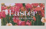 Easter Celebration (155586)