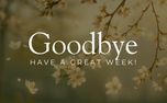 Goodbye - Cherry Blossms (155618)