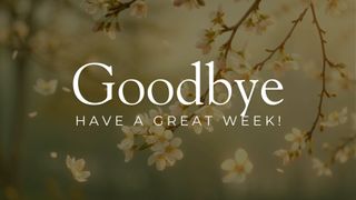 Goodbye - Cherry Blossms