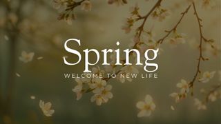 Spring - New Life