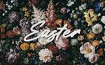 Easter title (155755)