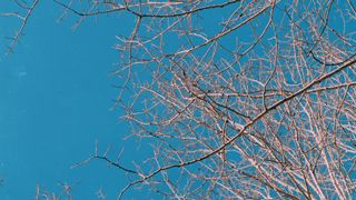 High Heavens : Loop 01