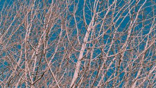 High Heavens : Loop 03