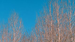 High Heavens : Loop 04