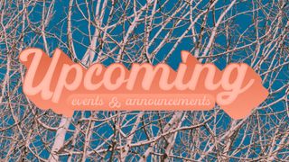 High Heavens : Upcoming