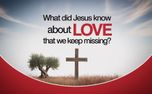 What Did Jesus Know About Love (155863)