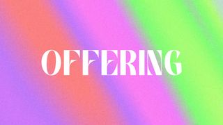 Grainbow - Offering Title