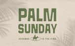 Palm Sunday (155978)