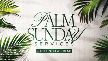 Palm Sunday (156011)