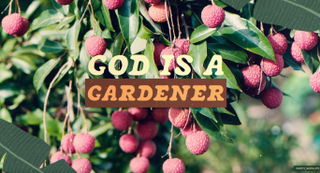 Fruit Of The Spirit - The Look