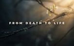 From Death To Life (156140)