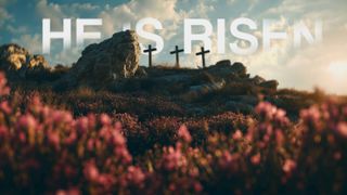 He Is Risen - Calvary Morning