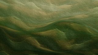 Wind Swept : Loop 13