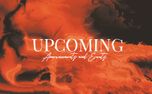 Upcoming (156226)