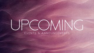 Wind Swept : Upcoming