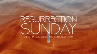 Wind Swept : Resurrection Sun