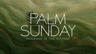 Wind Swept : Palm Sunday