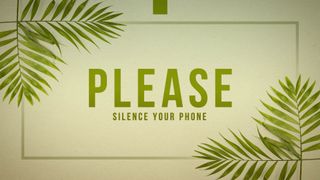 Palm Sunday Please Silence