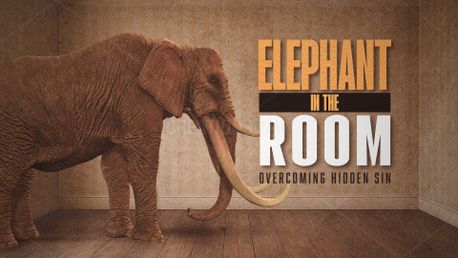 Overcoming Hidden Sin  (156426)