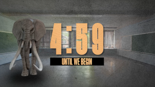 Elephant In The Room