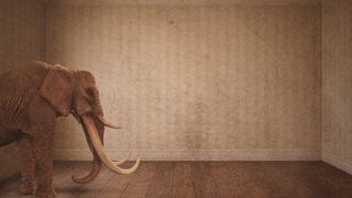 Elephant In The Room 1