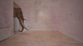 Elephant In The Room 4