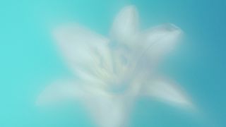 Living Hope : Loop 1