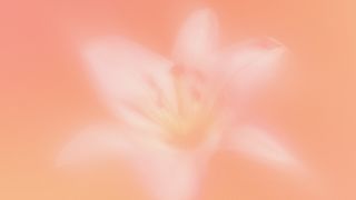 Living Hope : Loop 3