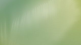 Living Hope : Loop 6