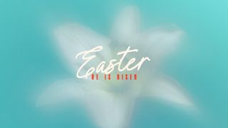 Living Hope : Easter 2