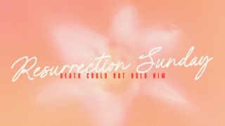 Living Hope : Resurrection