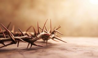 Crown of Thorns on a table
