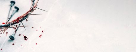 Modernish Crown of Thorns (156506)