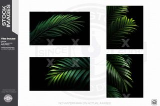 Palm Leaves on Black Back