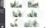 Watercolor Palm Leaves (156628)