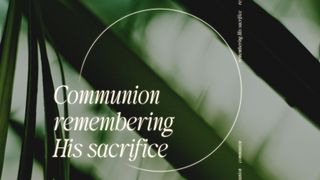 Triumph : Communion