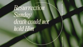 Triumph : Resurrection