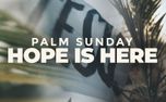 Palm Sunday (Hope Is Here) (156708)