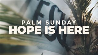 Palm Sunday (Hope Is Here)