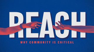 Reach Series Package