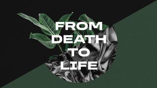 From Death to Life