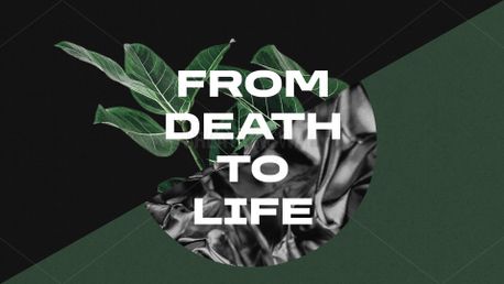 From Death to Life (156795)