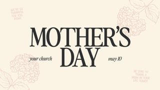 Mother's Day Hydrangea Bundle